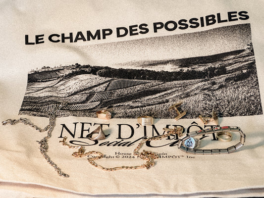 LE CHAMP DES POSSIBLES